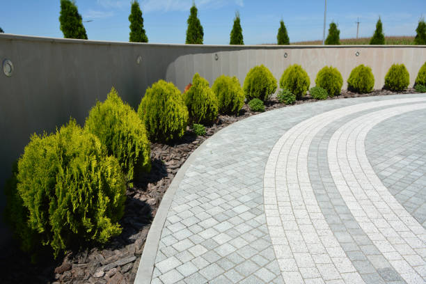 Best Residential Paver Driveway  in Pana, IL